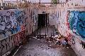 turkey_crossing_underpass.jpg