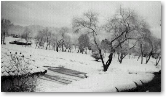 burbank snow